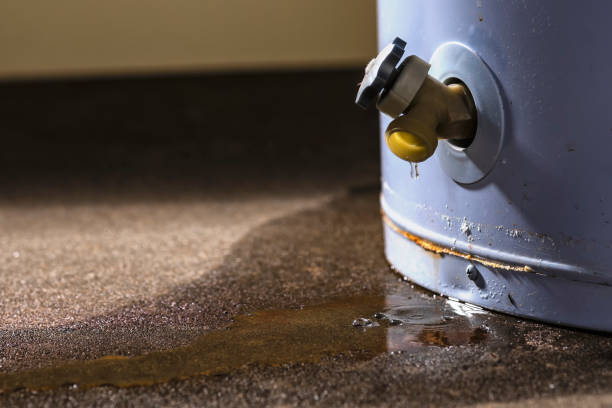 Best Water damage restoration near me  in Jackson, SC