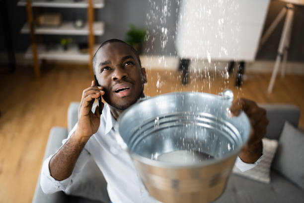 Best Water damage restoration near me  in Jackson, SC