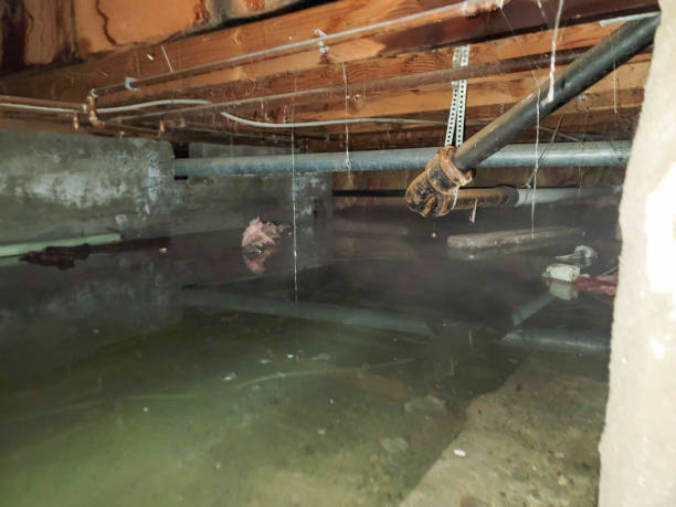 Best Water damage restoration near me  in Jackson, SC