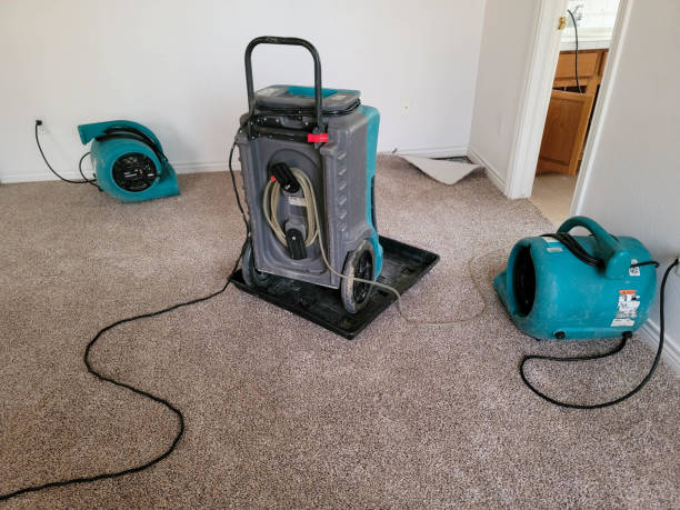 24/7 water damage repair in SC