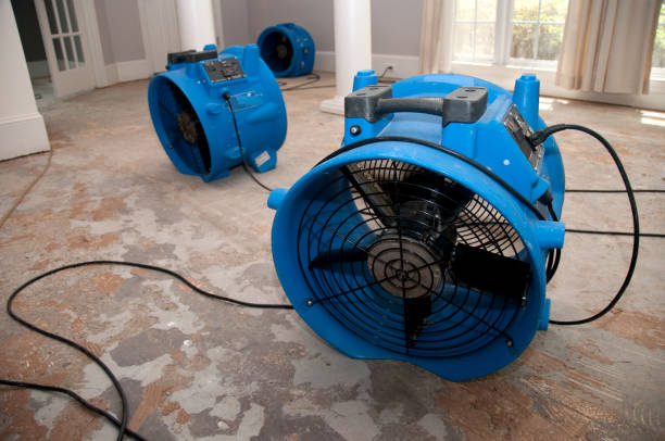 Best Fire Damage Restoration  in Jackson, SC
