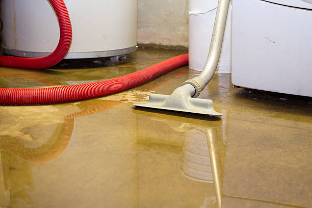 Best Fire Damage Restoration  in Jackson, SC