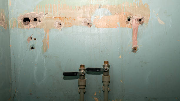 Best 24/7 water damage repair  in Jackson, SC