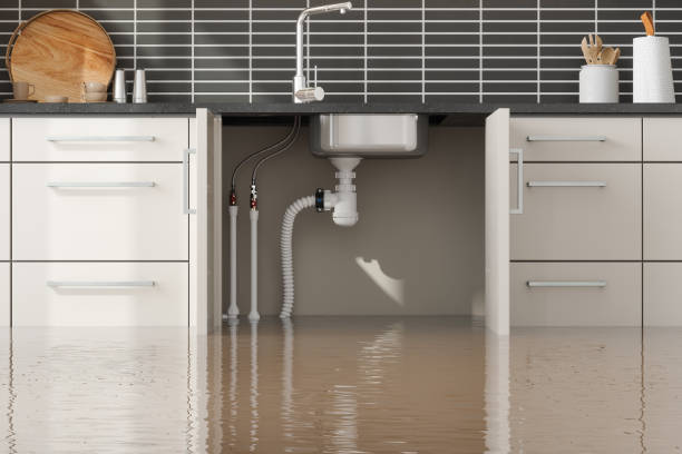 Best Sewage cleanup and water damage restoration  in Jackson, SC