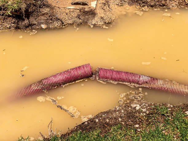 Best Carpet water damage restoration  in Jackson, SC