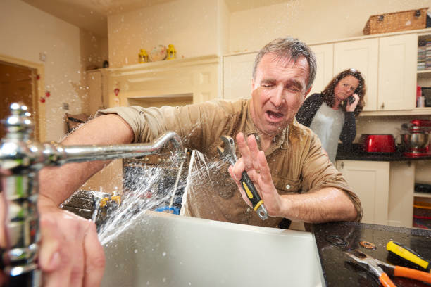 Best Water damage contractors near me  in Jackson, SC